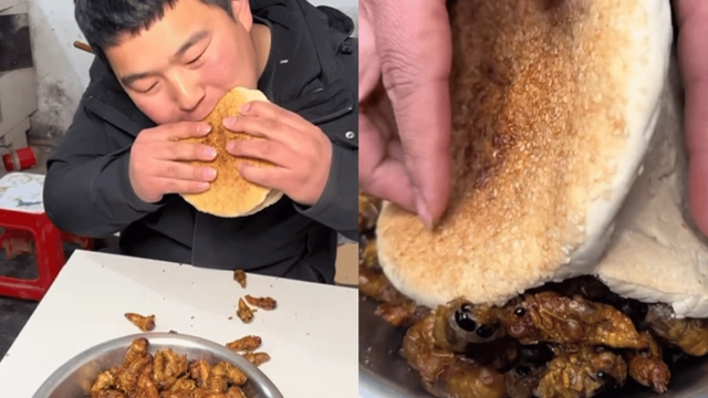 man-eats-burger-with-insects-internet-cant-stop-gagging-as-video-goes-viral